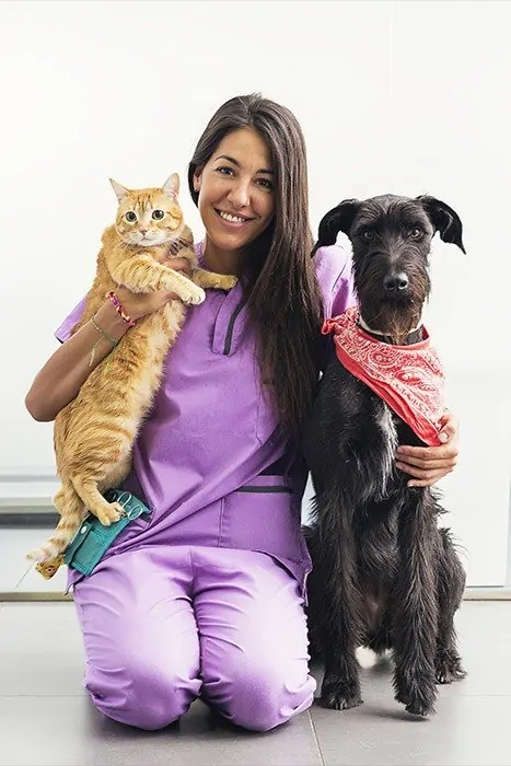Veterinarian smiling while holding a cat and hugging a dog.