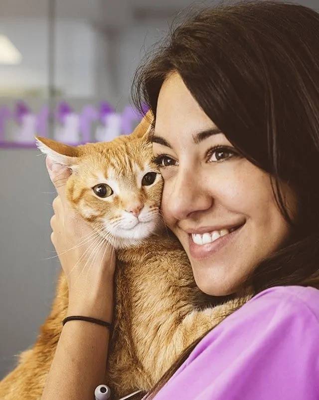 Female veterinarian hugging cat.