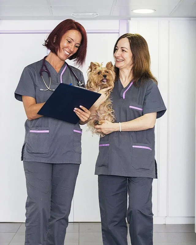 Veterinarians smiling while holding a dog.