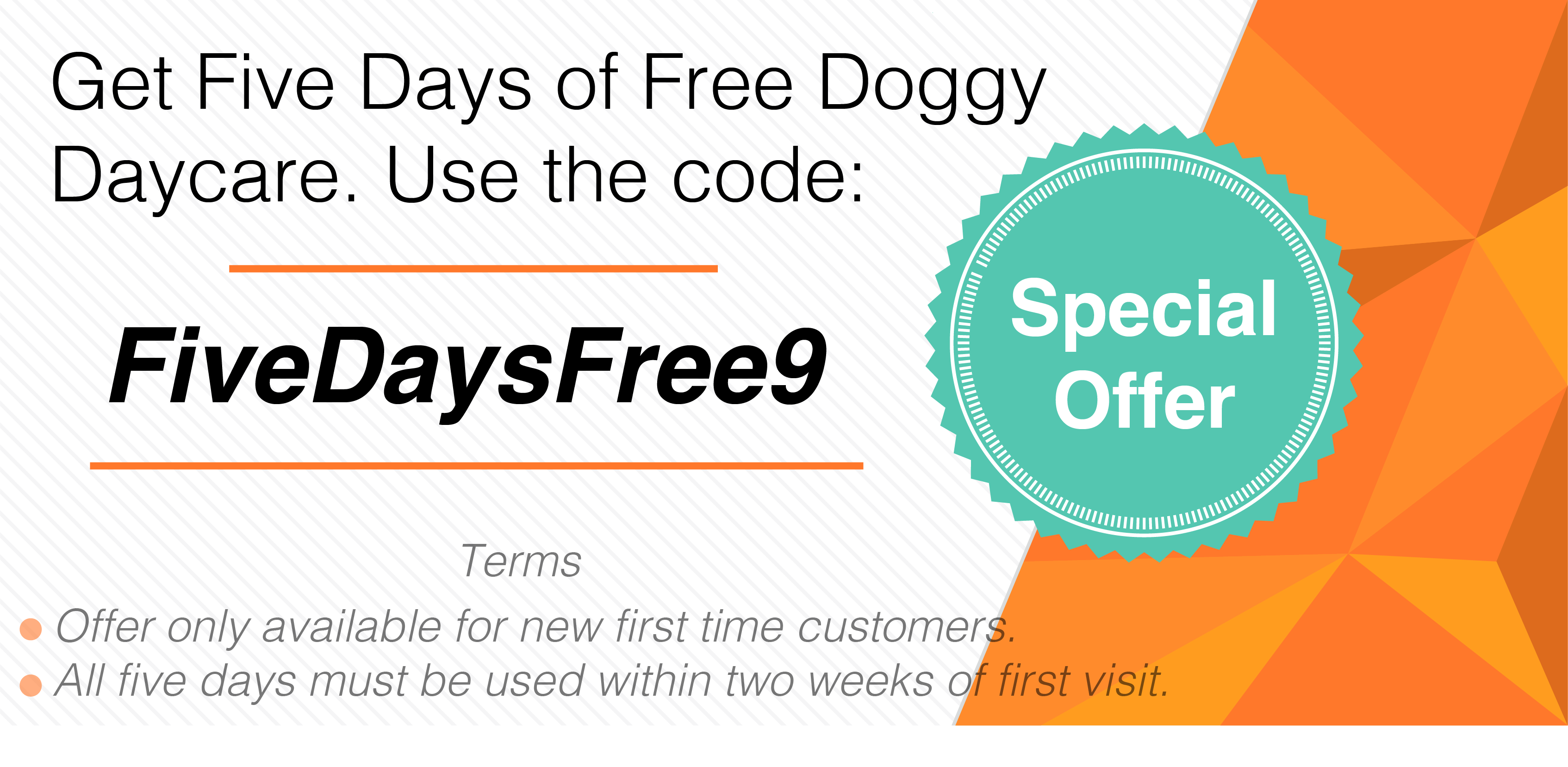 Coupon for Five Free Days of Doggy Daycare. Coupon code is FiveDaysFree9