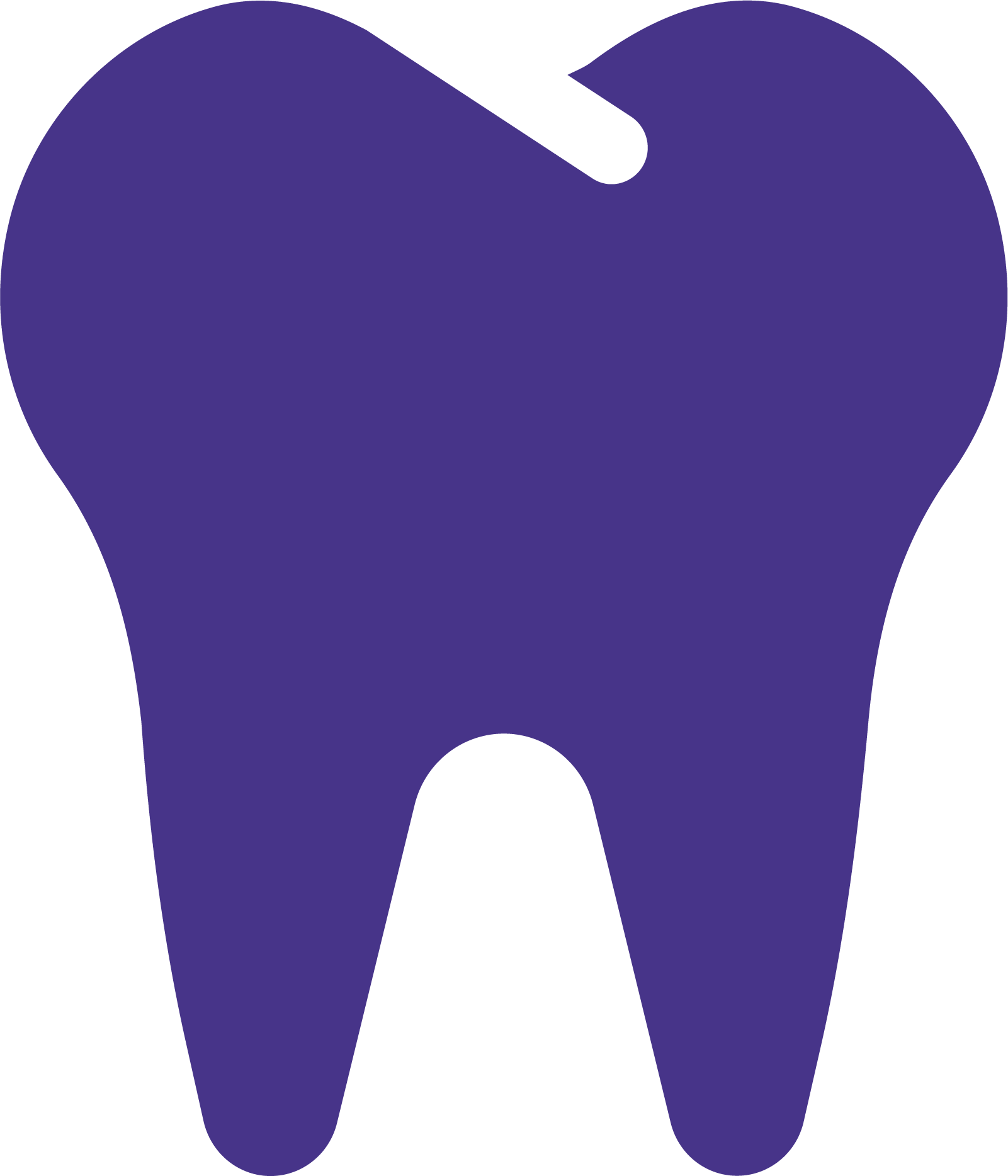Tooth - Dental Care