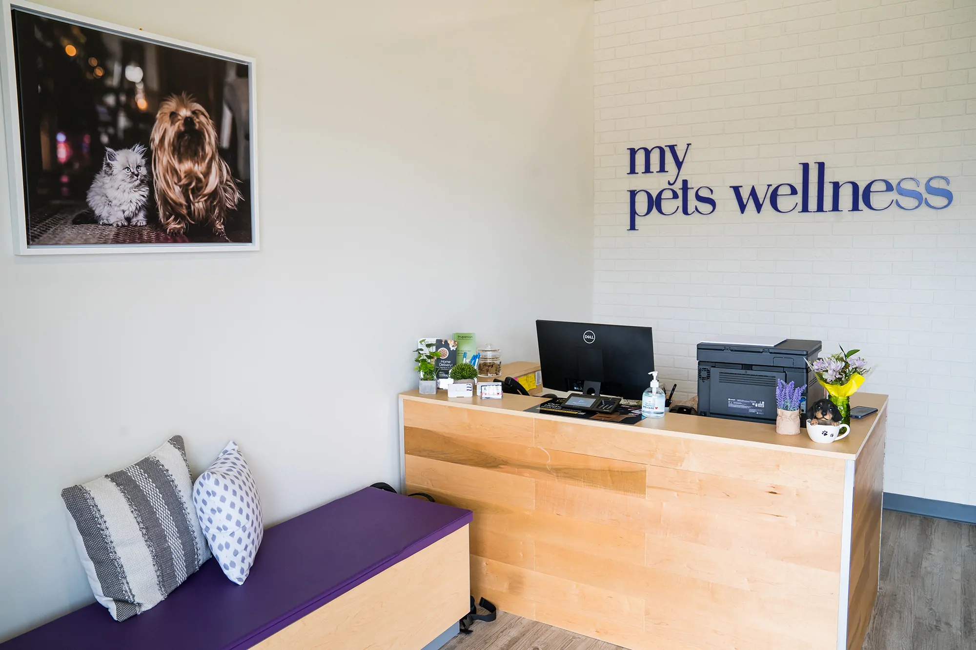 vet clinic reception desk inside my pets wellness
